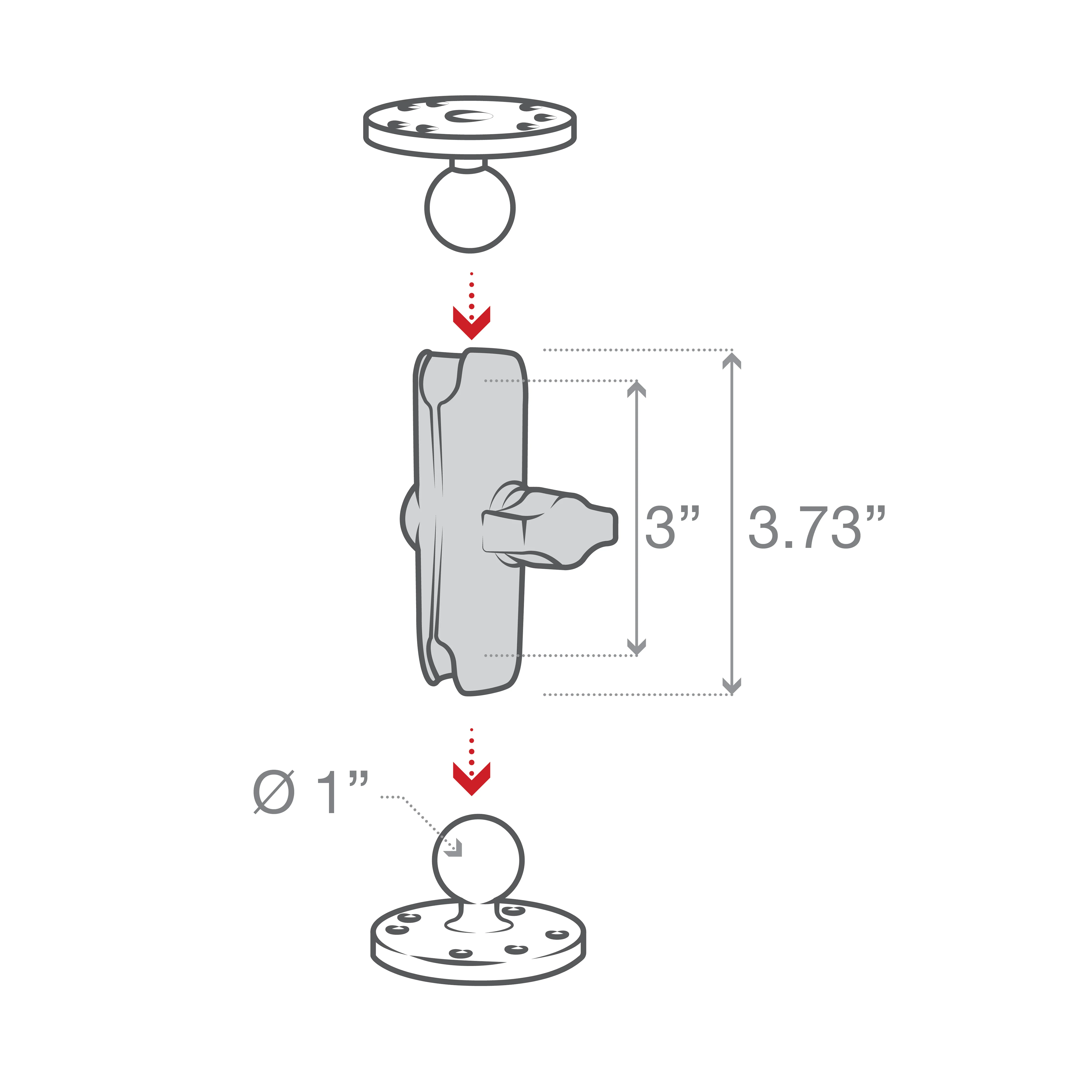 RAMĀ® Double Socket Arm - B Size Medium - Image 7